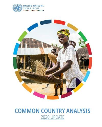 Common Country Analysis 2020 UPDATE | Abridged